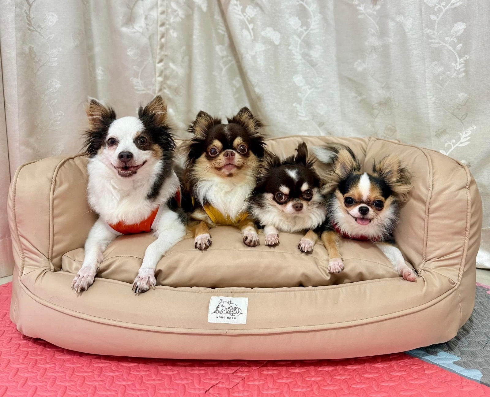 Machiko Home